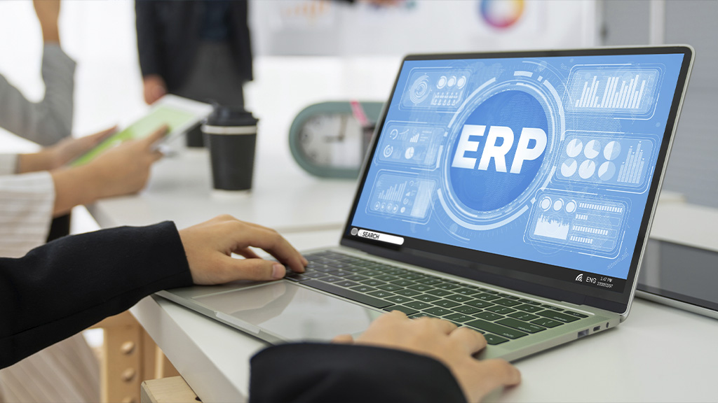 Personalização de Software ERP: Impulsionando a Eficiência Operacional